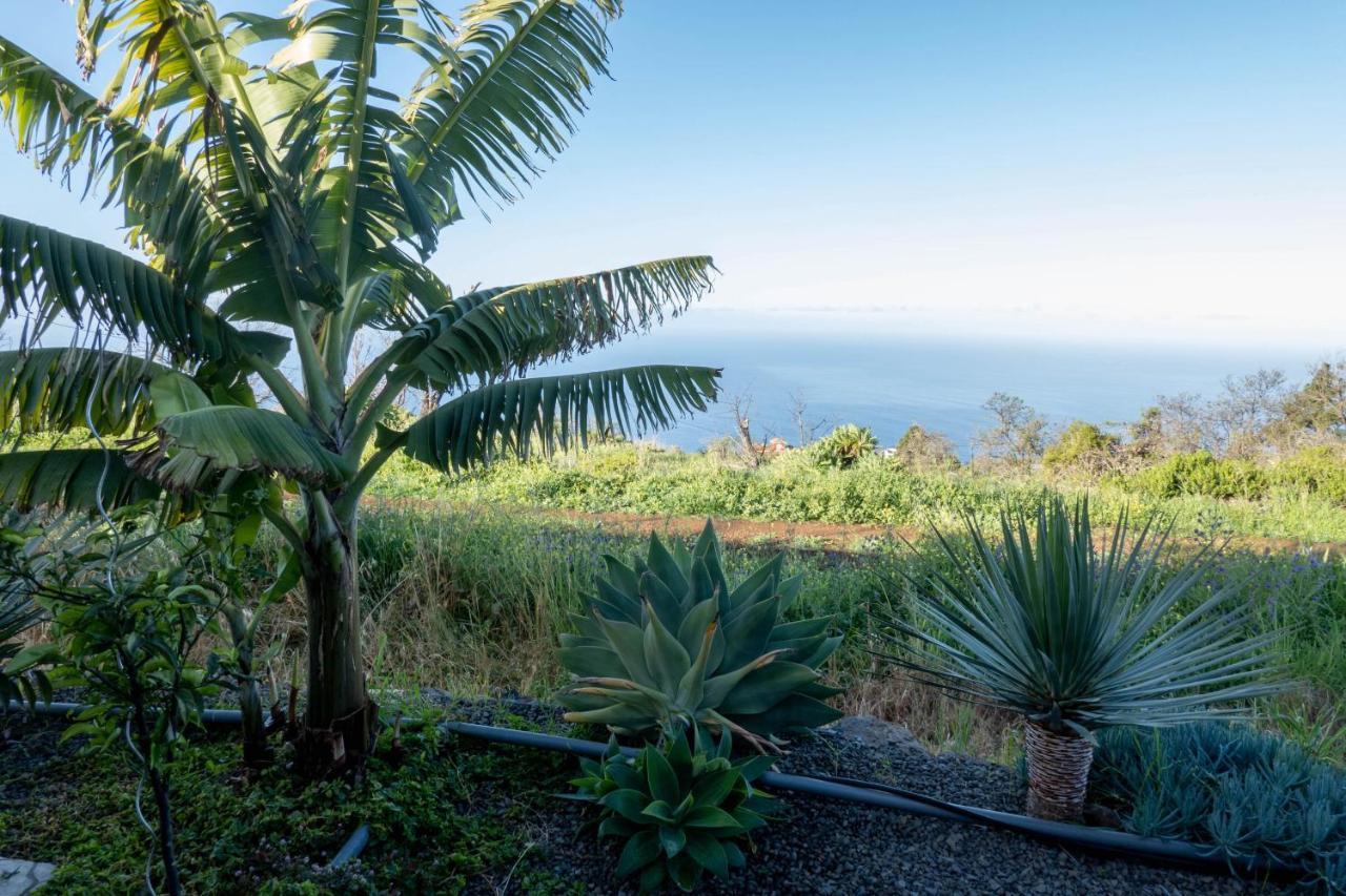 Hrlos Piratas - Ferien Haus La Palma - Good Wlan !! Tijarafe Luaran gambar