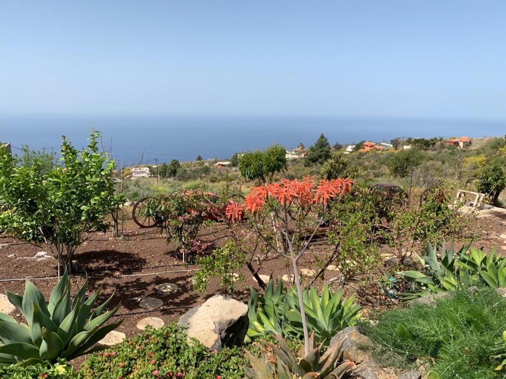 Hrlos Piratas - Ferien Haus La Palma - Good Wlan !! Tijarafe Luaran gambar
