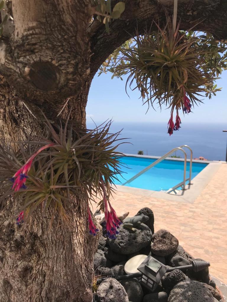 Hrlos Piratas - Ferien Haus La Palma - Good Wlan !! Tijarafe Luaran gambar